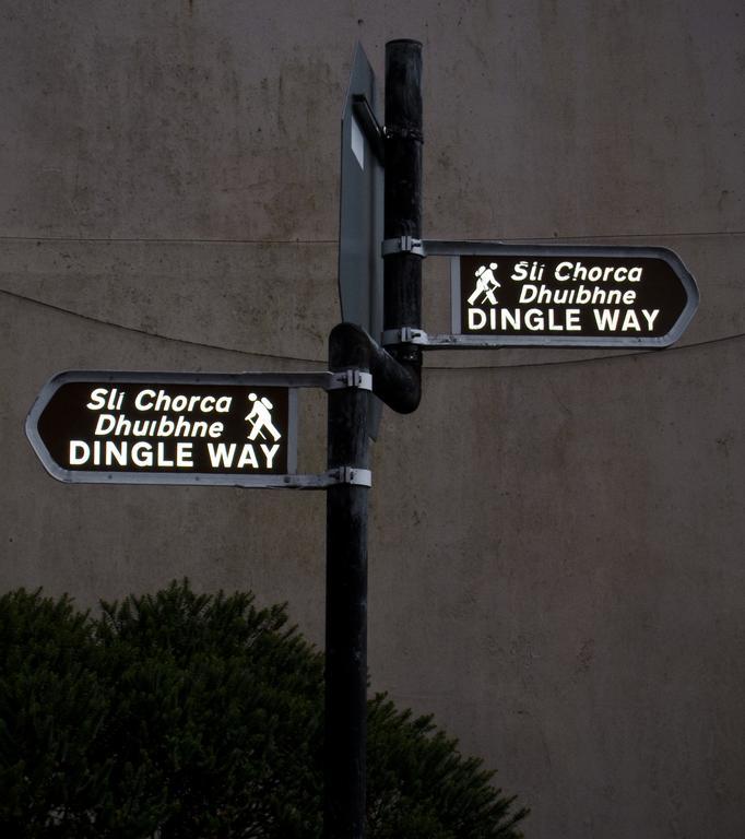 The Dingle Pub Rooms Exterior foto